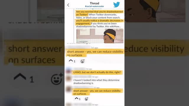 BREAKING: Twitter Source Leaks Internal Slack Channel RECONFIRMING Shadowbanning is Indeed Real