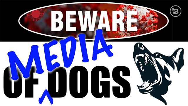 Mark Levin: Beware the Media’s Attack Dogs