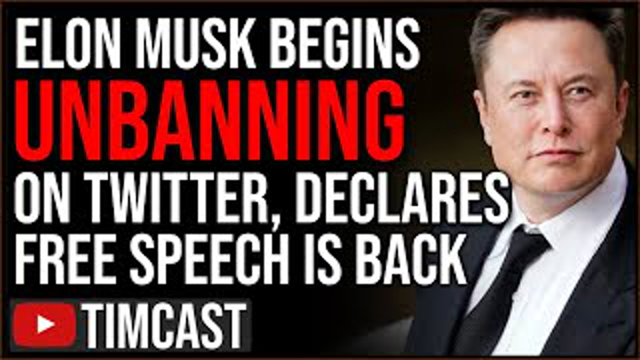 Elon Musk RESTORES Jordan Peterson, Babylon Bee, Says FREE SPEECH IS BACK, Woke LOSING Their Minds