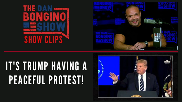 It's Trump Having A Peaceful Protest! - Dan Bongino Show Clips