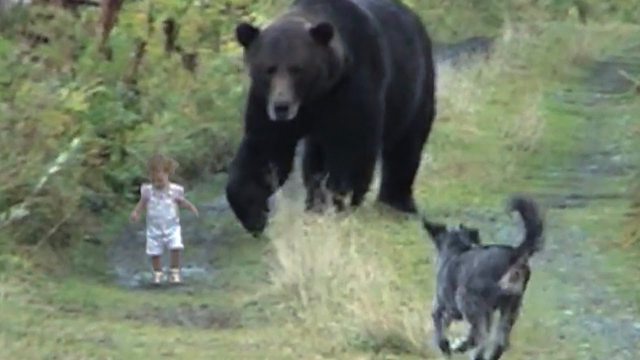 Animals That Saved Human Lives