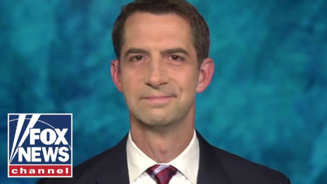 Tom Cotton demands Anthony Fauci be prosecuted for his lies