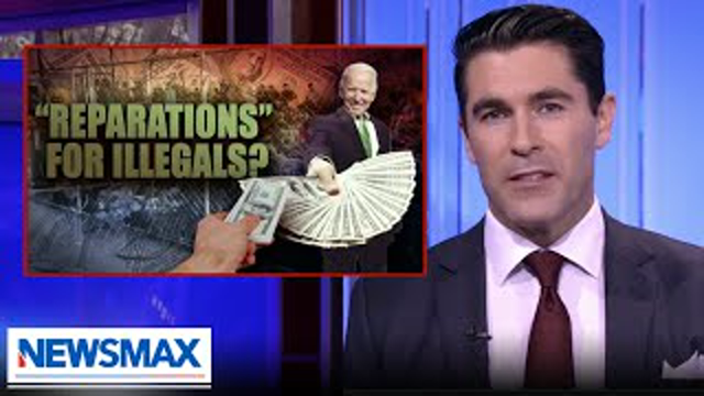 Rob Schmitt: Can you imagine a country this stupid?