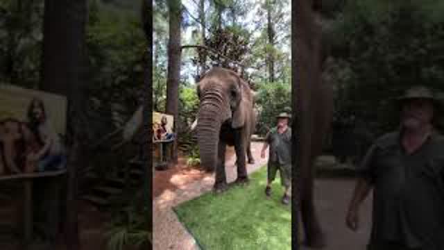 Bubbles at Myrtle Beach Safari loves to mess around with me 😂