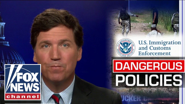Tucker blasts ICE for not deporting illegal aliens