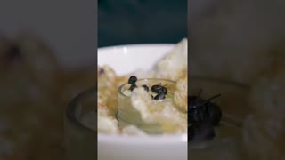 More expensive than CAVIAR!!