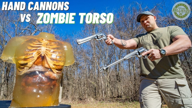 HAND CANNONS vs ZOMBIE TORSO 🧟‍♂️