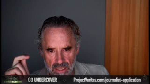 Andy Ngo to Jordan Peterson: "I am very supportive of the work they[Project Veritas] do."