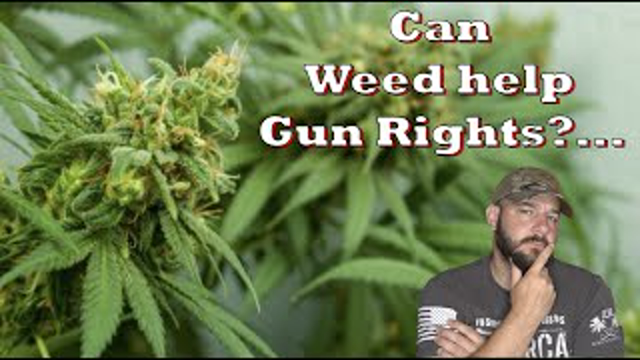 Could Weed ACTUALLY lead to more Gun Rights?… Talk about a “high” goal…