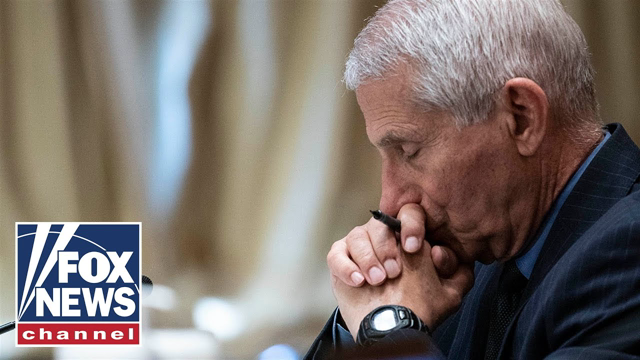 Bombshell Wuhan lab documents call Fauci's claims into question
