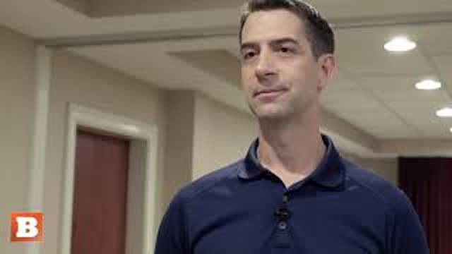 Tom Cotton on Border Crisis: Anything Kamala Harris Touches "She Usually Makes Worse"