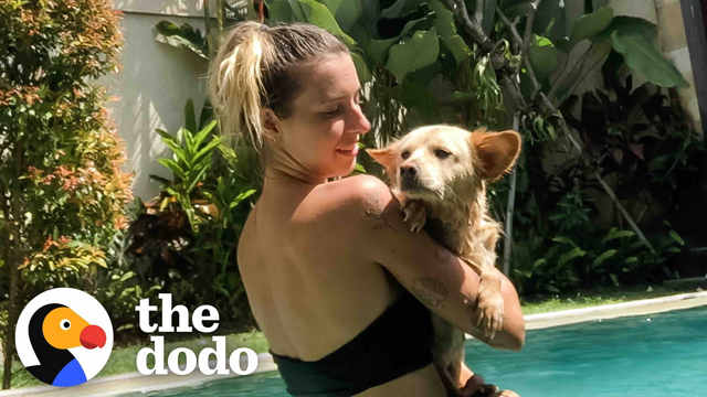 Puppy Rescued From Bottom Of A Ravine Loves The Water Now | The Dodo Faith = Restored