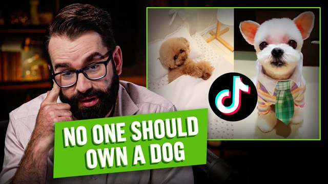 Matt Walsh Reviews Adorable Dog Videos
