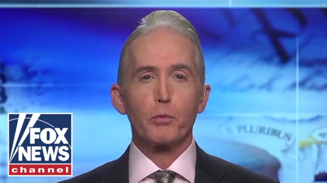 Trey Gowdy: Democrats have done this to themselves