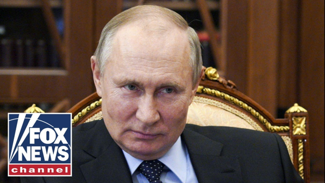 Putin following 'coldly-calculated strategy': Hoffman