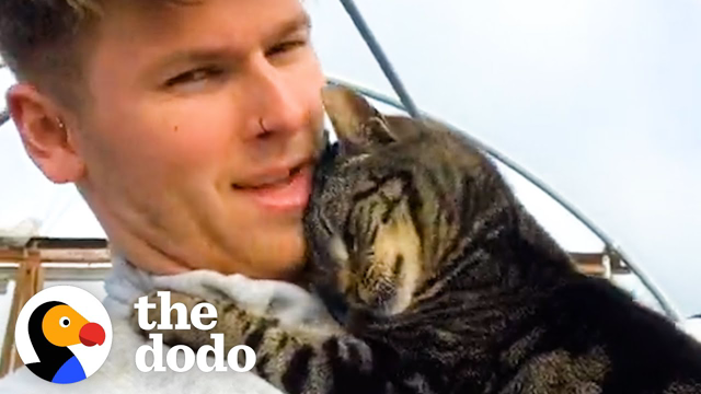 Cat Gives Her Dad Hugs All Day, Every Day | The Dodo Cat Crazy