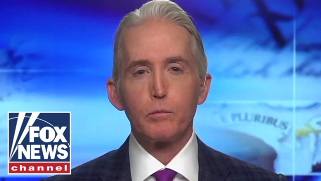 Trey Gowdy: The liberal media never focuses on this