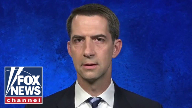 Tom Cotton: 'Taliban goons' are beating Americans, taking passports