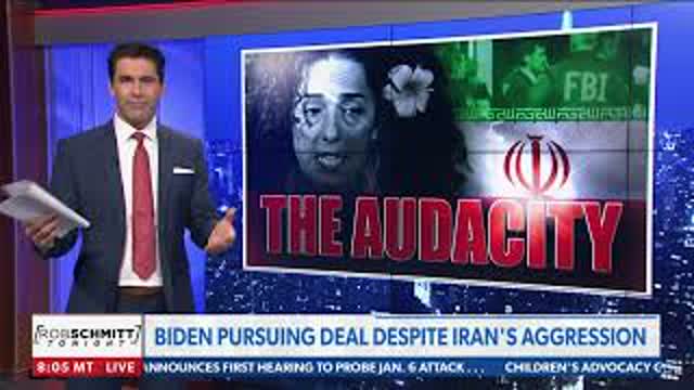 Schmitt: Our enemies love this White House