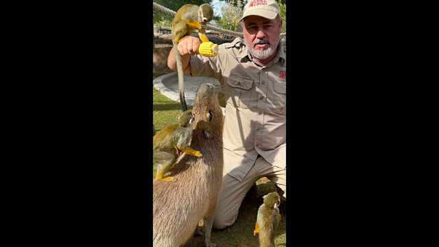 FEEDING WILD ANIMALS IN DUBAI🤩