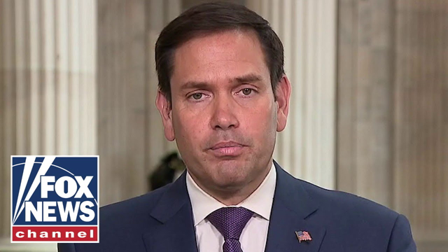 BLM is a Ponzi scheme shaking down corporations: Sen. Marco Rubio