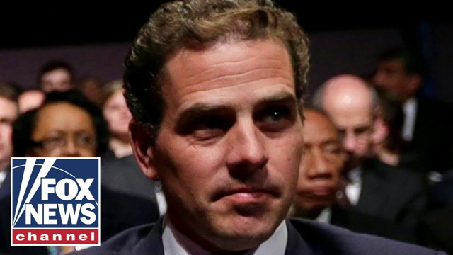 'Fox & Friends' on Hunter Biden's art sales: '$500,000 for this?!'