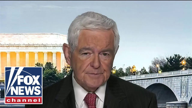 Newt Gingrich: It's the DC elites against the rest of the country
