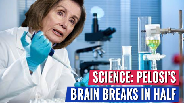 Pelosi Called Mccarthy A “Moron” When Pressed On It Her Brain Breaks