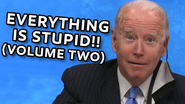 EVERYTHING IS STUPID!! (VOLUME TWO)