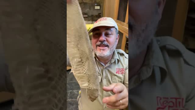 SNAKE SKIN STOCKING🤯😳