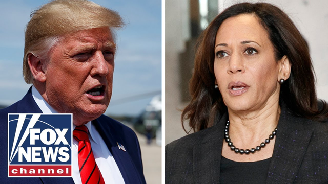 Trump had to 'shame' Kamala Harris into going to border: Tom Homan