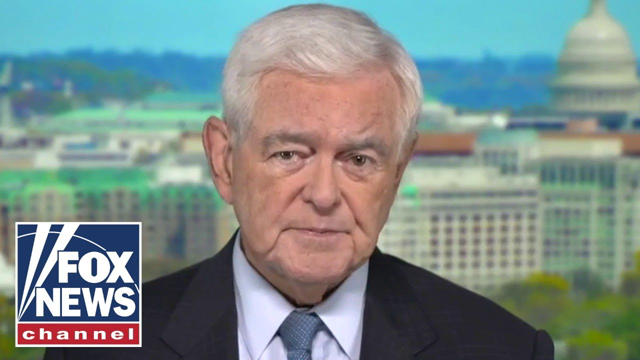 Newt Gingrich accuses Democrats of holding 'massive' spending bill 'hostage'
