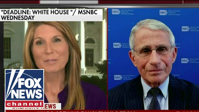Media fawn over Fauci amid email backlash