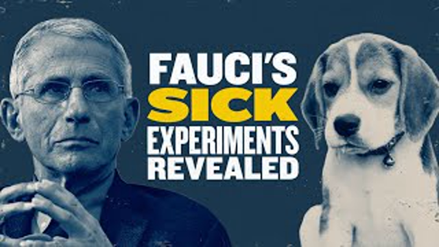Puppy Murderer? Fauci’s SICK Dog Experiments Revealed | You Are Here