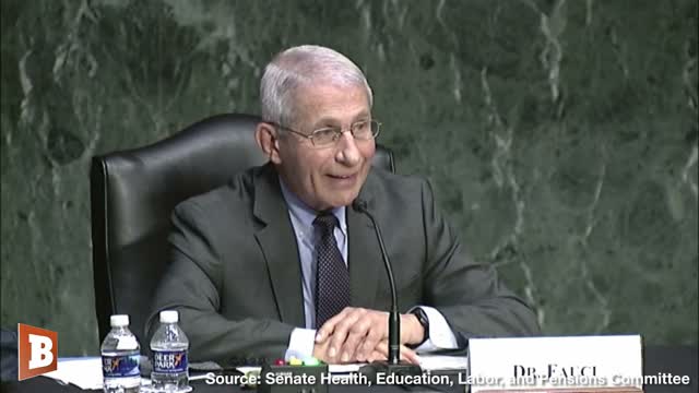 Anthony Fauci Flatly Denies Funding "Gain-of-Function" Virus Research in Wuhan Lab via NIH
