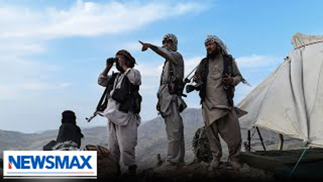Taliban seizes cities across Afghanistan | REACTION
