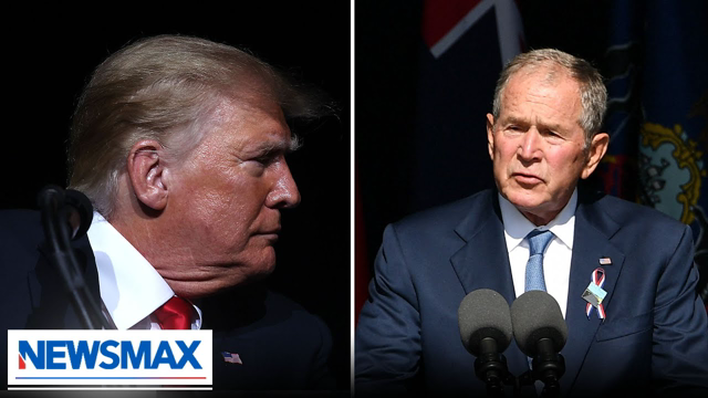 Trump hits back at President George W. Bush over Liz Cheney support | National Report