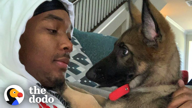 NBA Player's German Shepherd Is The Biggest Daddy's Girl | The Dodo Teammates