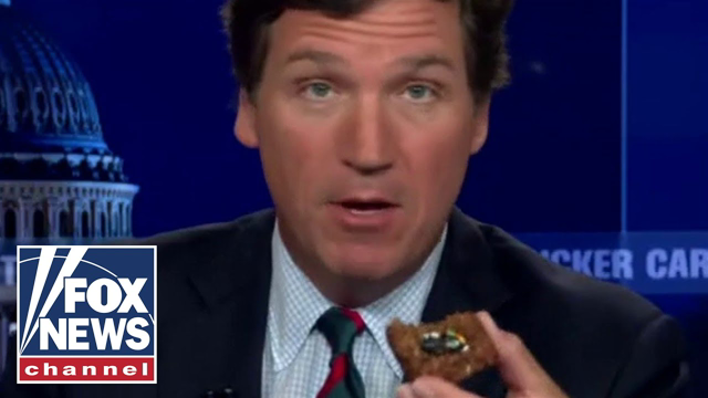 Tucker eats snacks made with Cicadas