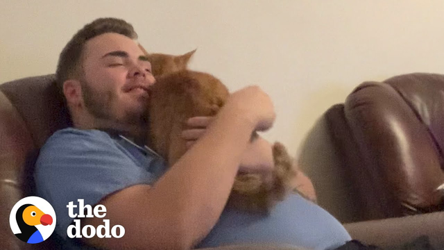 Cat And His Dad Speak The Same Language | The Dodo