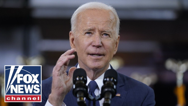 Joe Biden is 'one-man wrecking ball' at the border: Sen. Braun