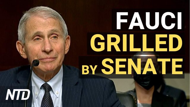 Sen. Paul, Fauci Spar Over Gain-of-Function; Steele Dossier Researcher Arrested, Indicted | NTD