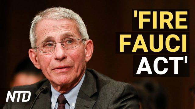 'Fire Fauci Act' Picks Up More Support; Fox Reporter: Company Is Deceiving Viewers | NTD