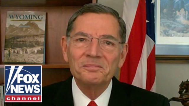Biden is 'facing roaring flames all around him,' is 'not up to the job': Sen. Barrasso