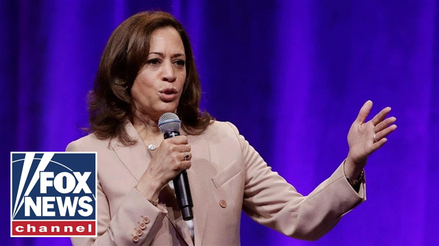 Live: Kamala Harris holds press conference with Guatemalan president