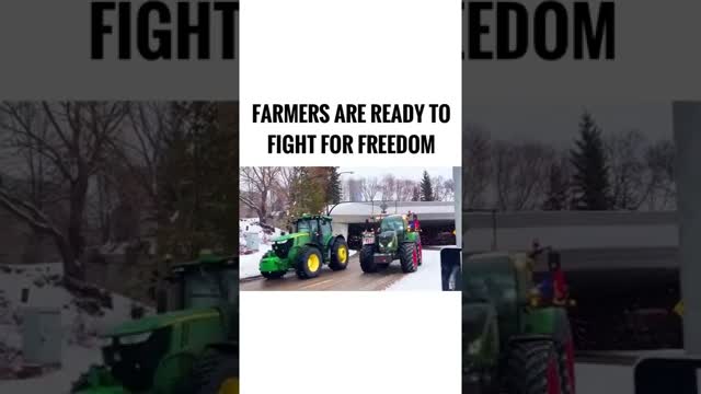 A Beautiful Parade!
