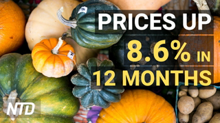 US Wholesale Prices Rise Record 8.6% Over 12 Months; John Deere Workers Strike | NTD Business