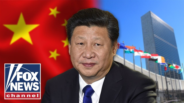 Why is China buying US farmland? Morgan Ortagus explains