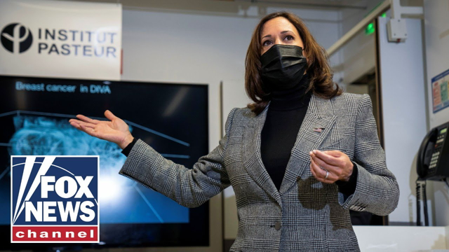 Kamala Harris blasted for 'weird' attempt at French accent
