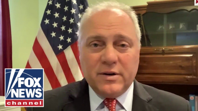 House Minority Whip Steve Scalise on Dems divided over spending bills